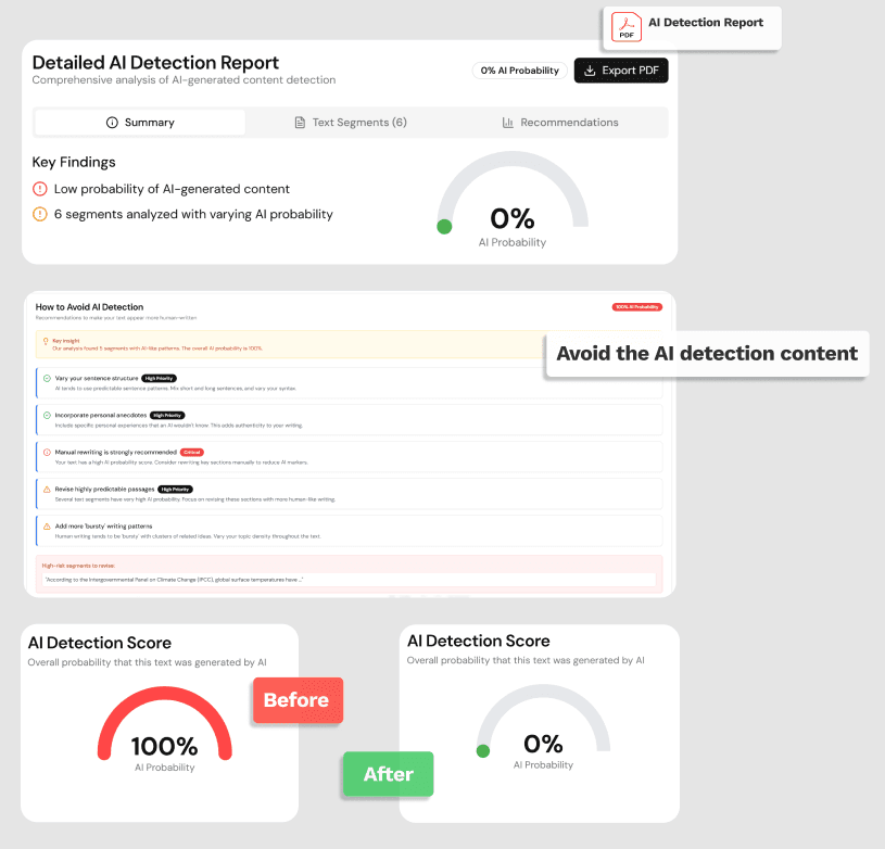 Plagiarism detection interface